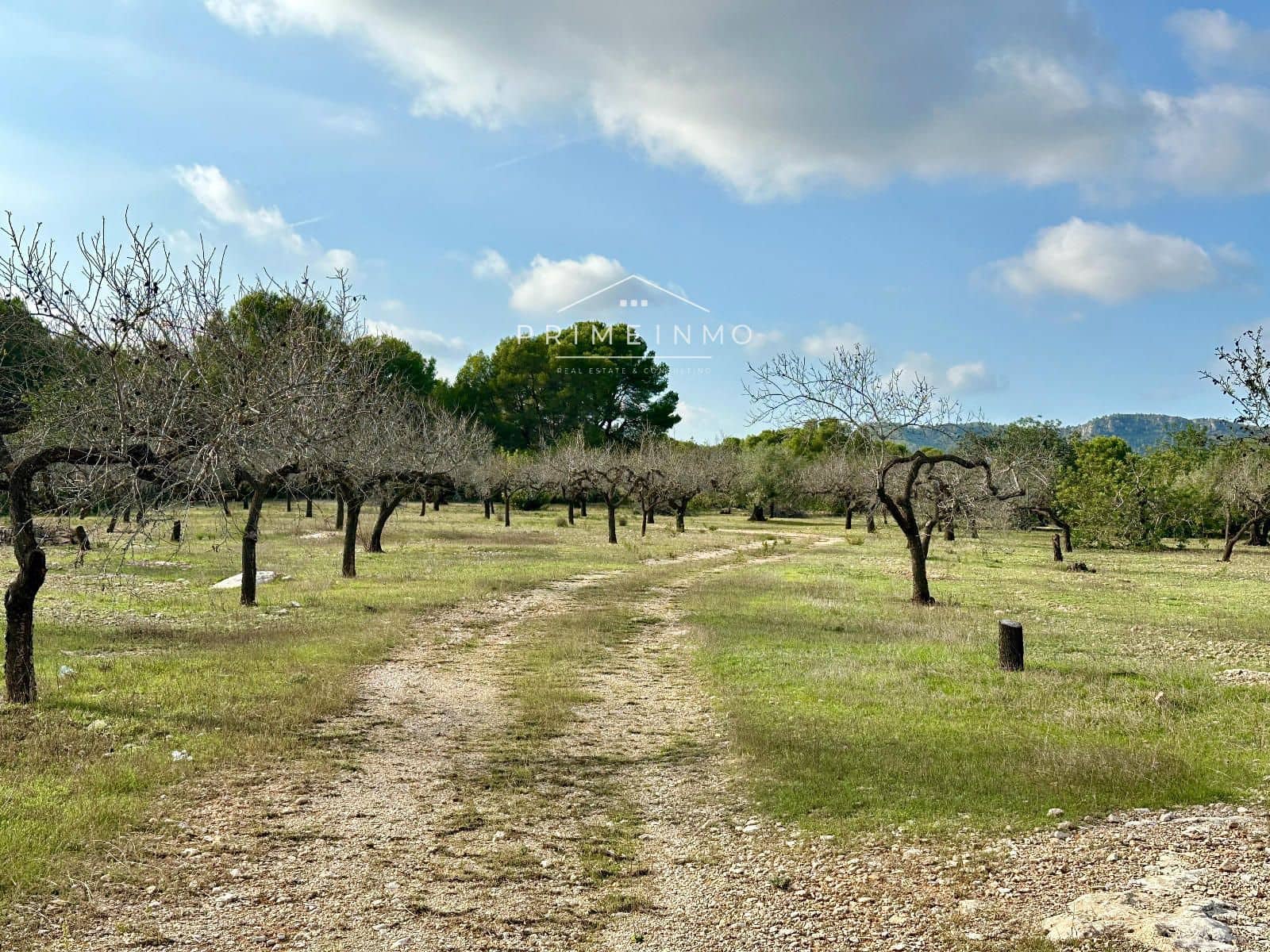 Ubebygd land til salgs i El Perello - € 118 000 (Ref: 10165465)