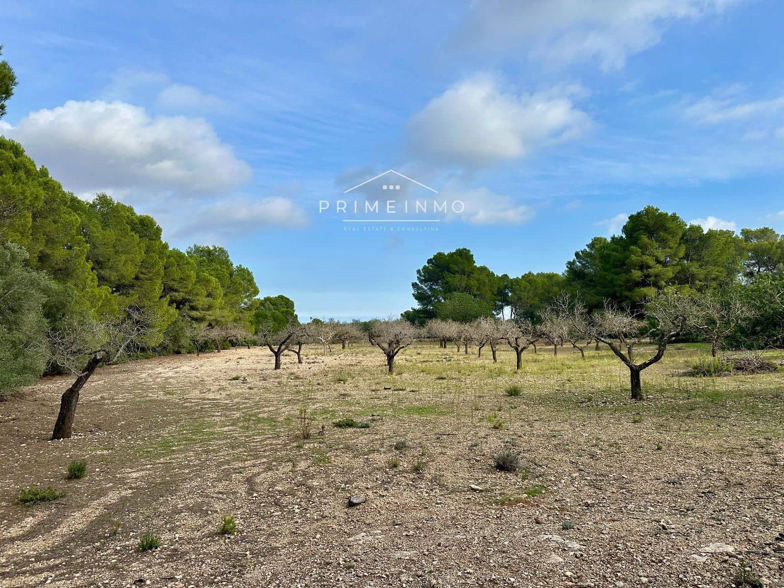 Ubebygd land til salgs i El Perello - € 118 000 (Ref: 10165465)
