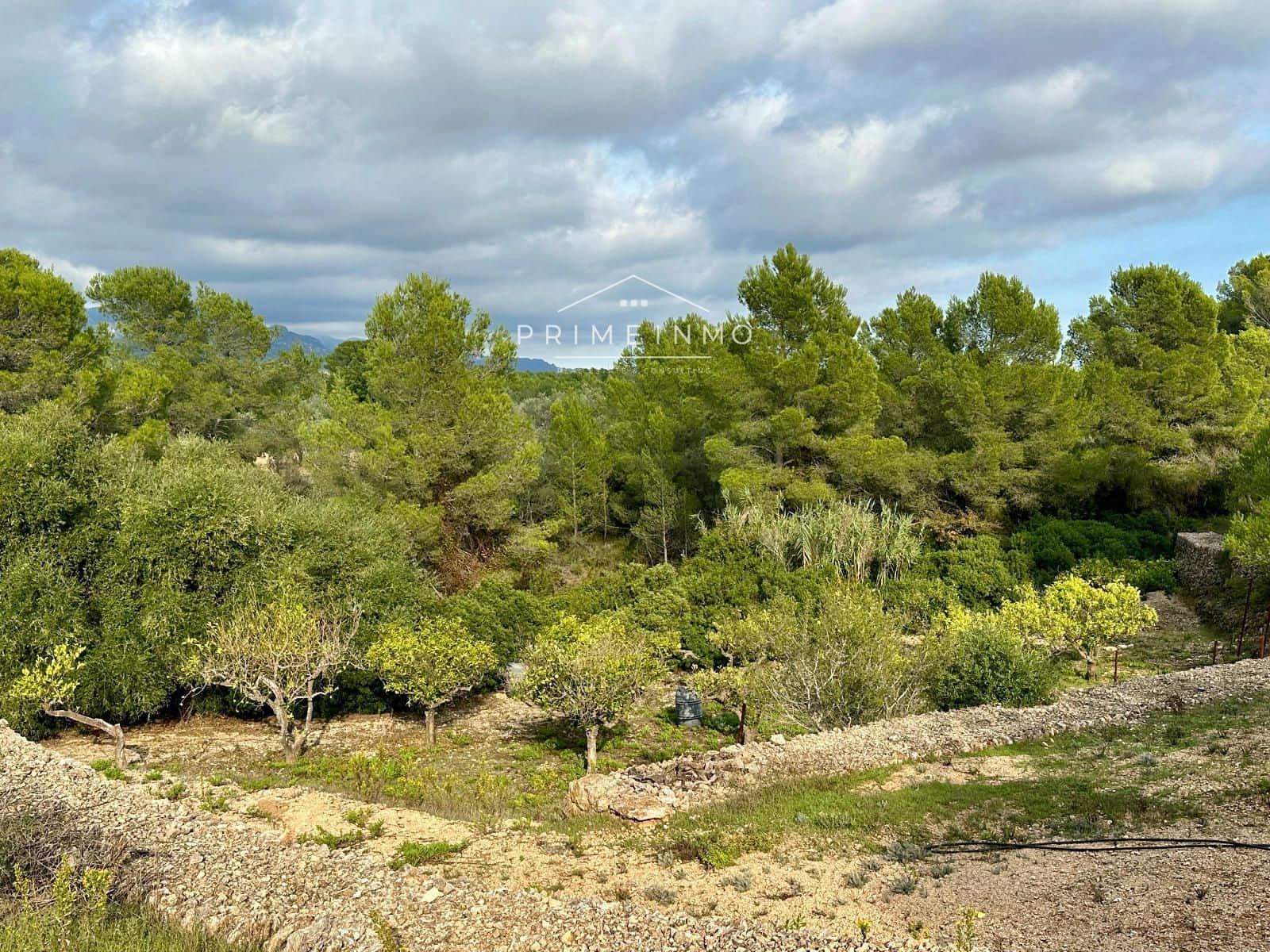 Ubebygd land til salgs i El Perello - € 118 000 (Ref: 10165465)