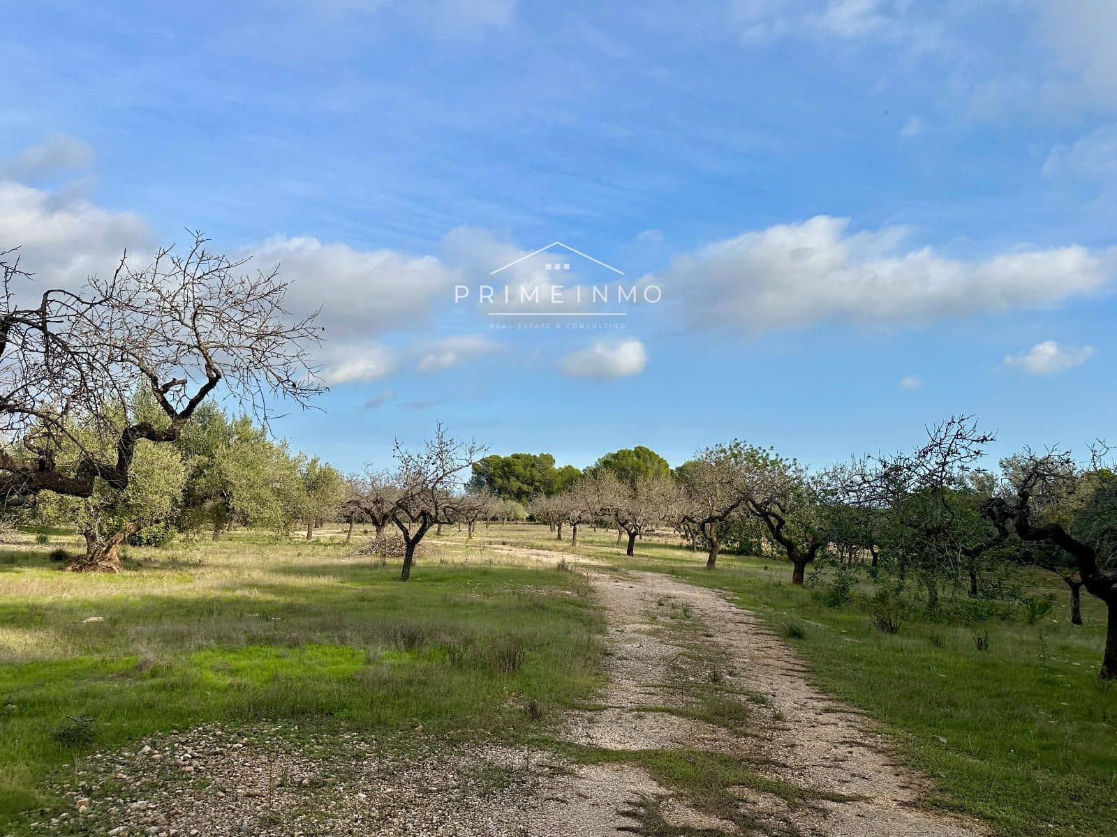 Ubebygd land til salgs i El Perello - € 118 000 (Ref: 10165465)