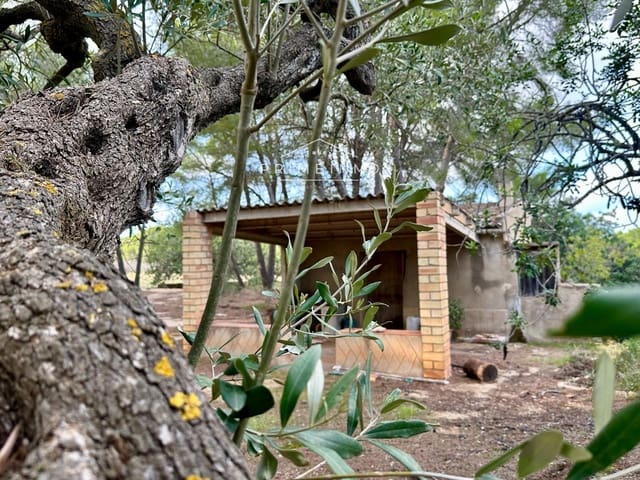 Ubebygd land til salgs i El Perelló - € 118 000 (Ref: 10165465)