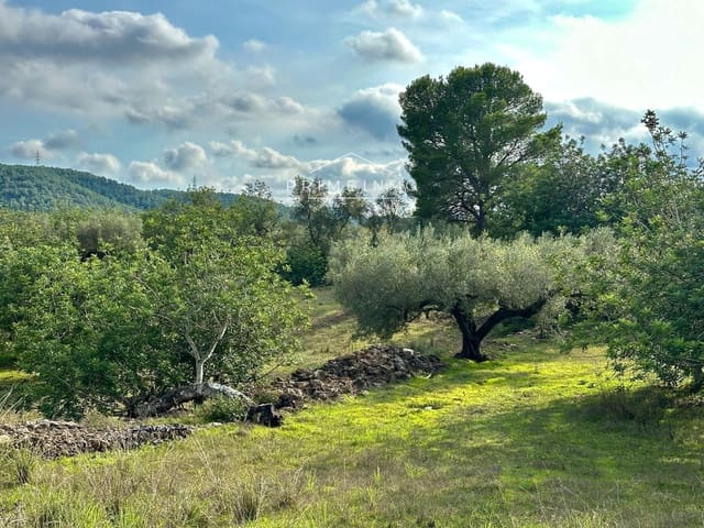 Ubebygd land til salgs i El Perelló - € 118 000 (Ref: 10165465)