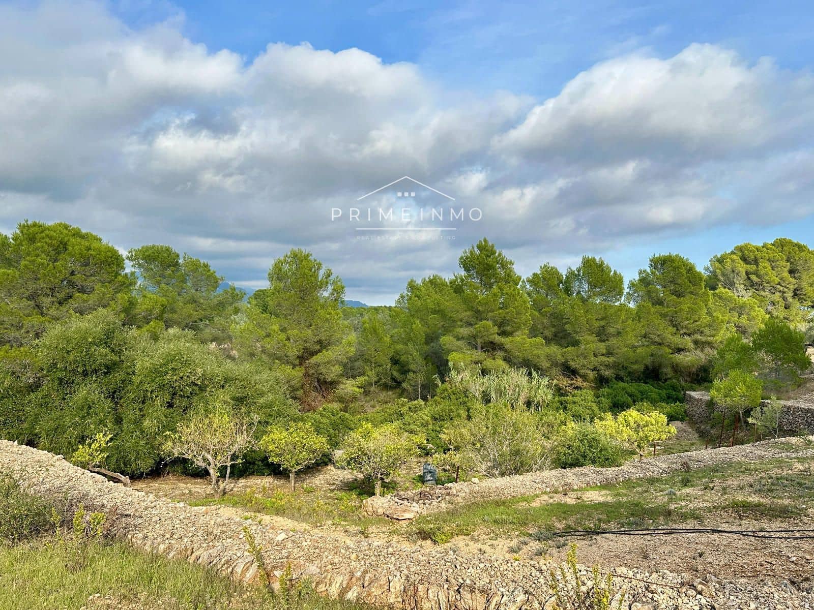 Ubebygd land til salgs i El Perello - € 118 000 (Ref: 10165465)