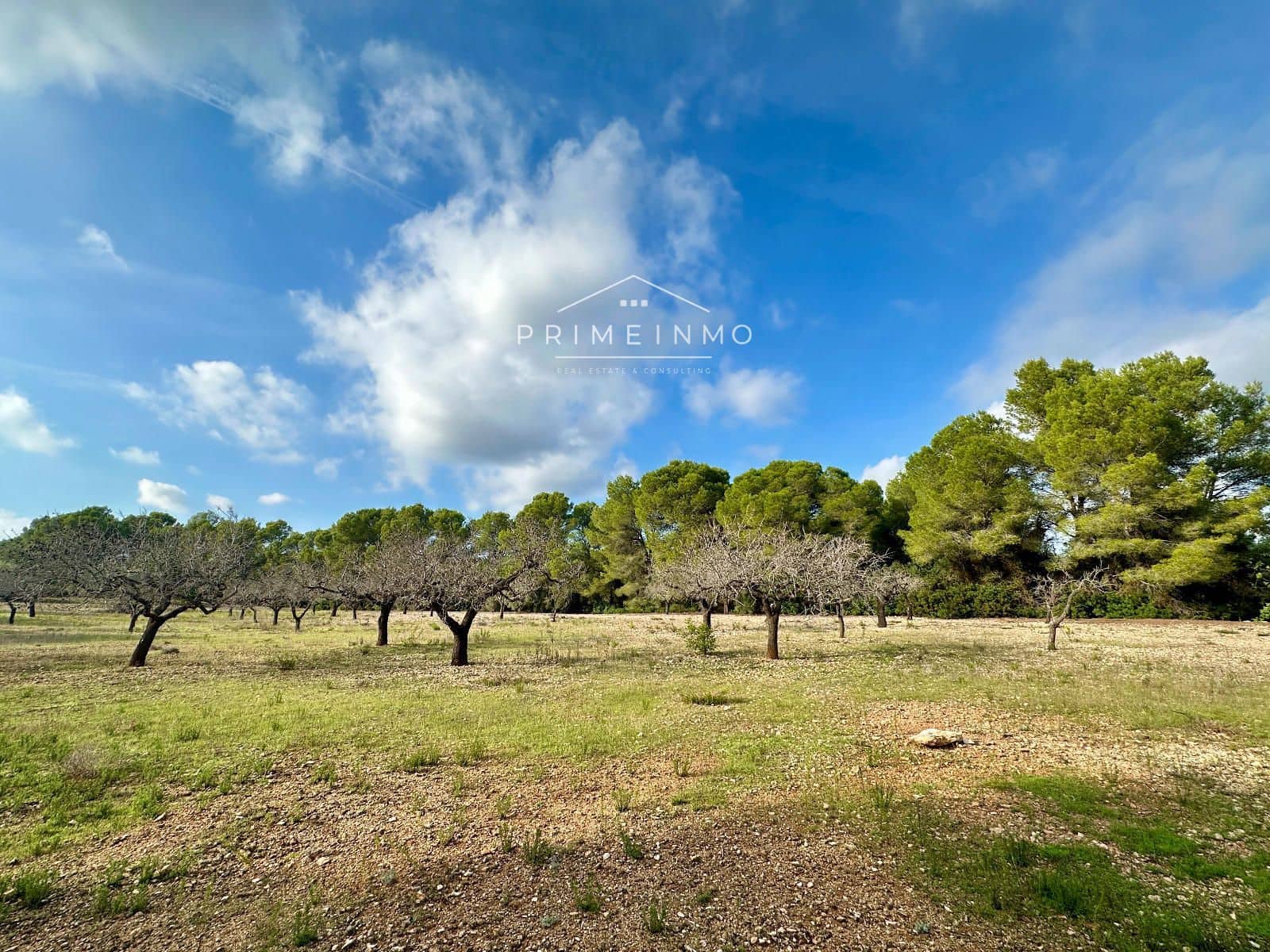 Ubebygd land til salgs i El Perello - € 118 000 (Ref: 10165465)