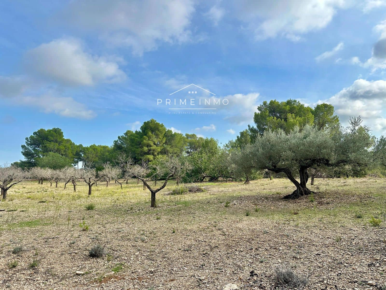 Ubebygd land til salgs i El Perello - € 118 000 (Ref: 10165465)