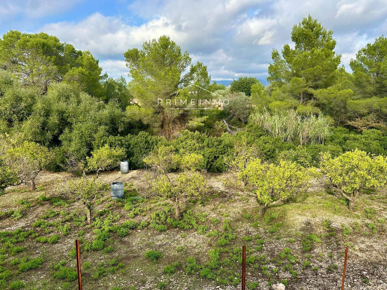 Ubebygd land til salgs i El Perello - € 118 000 (Ref: 10165465)