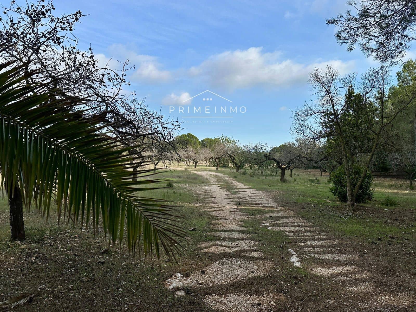 Ubebygd land til salgs i El Perello - € 118 000 (Ref: 10165465)