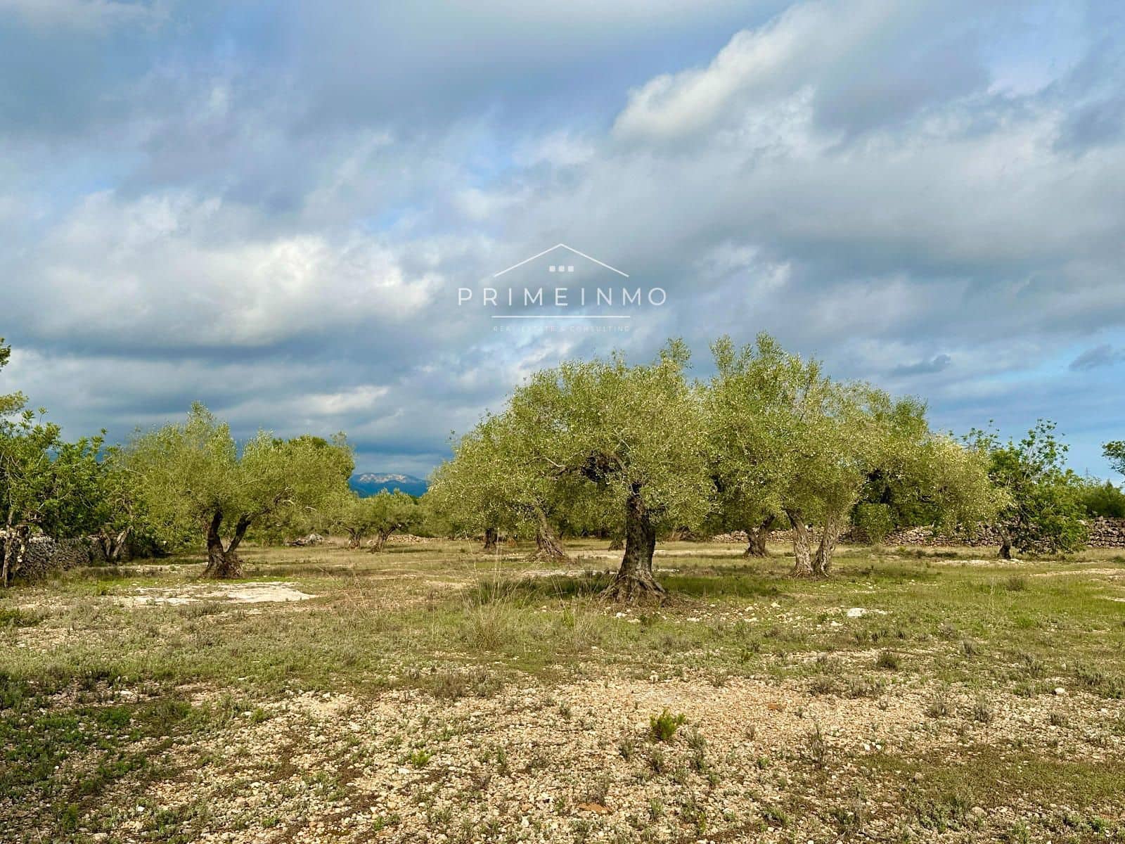 Ubebygd land til salgs i El Perello - € 118 000 (Ref: 10165465)