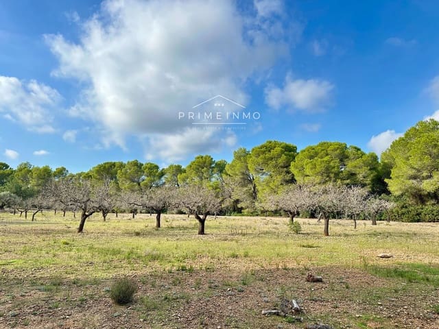 Ubebygd land til salgs i El Perelló - € 118 000 (Ref: 10165465)