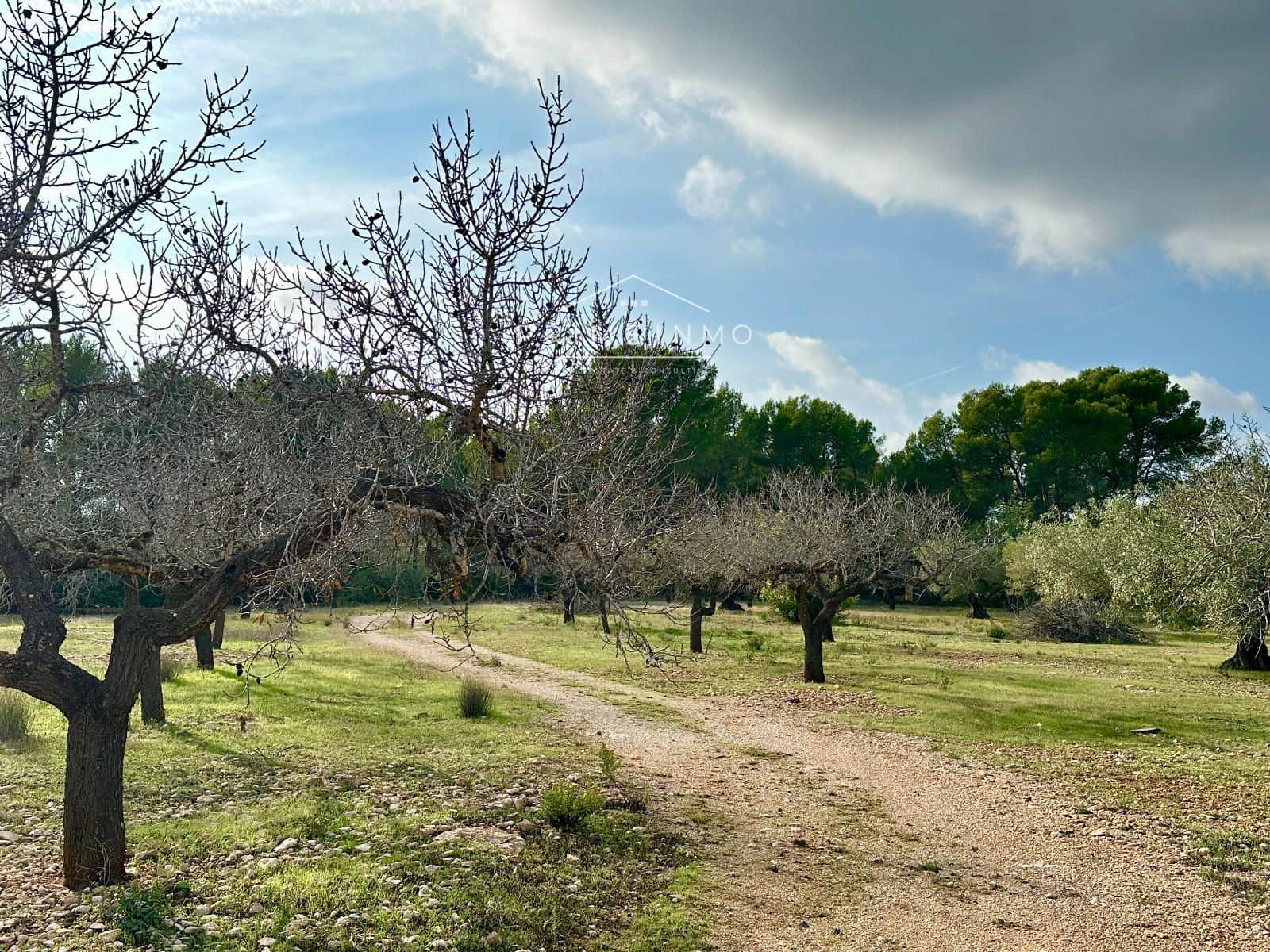 Ubebygd land til salgs i El Perello - € 118 000 (Ref: 10165465)