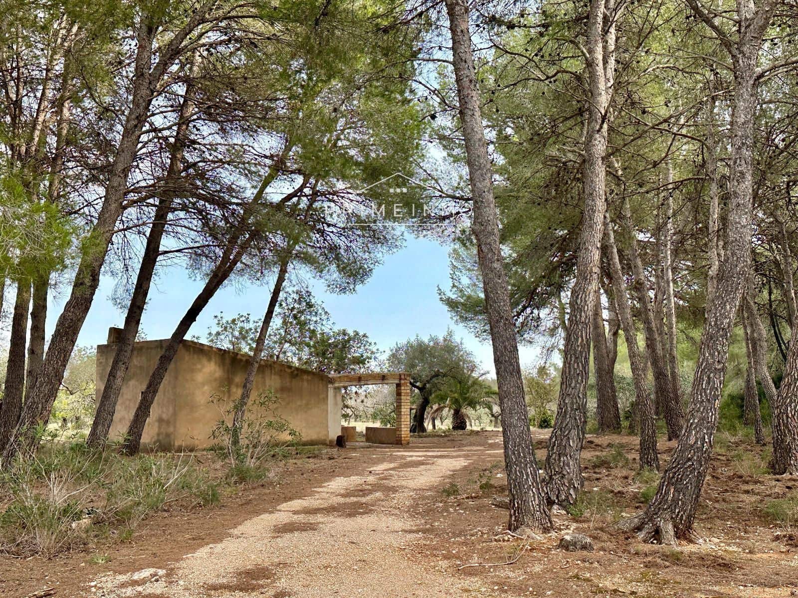Ubebygd land til salgs i El Perello - € 118 000 (Ref: 10165465)