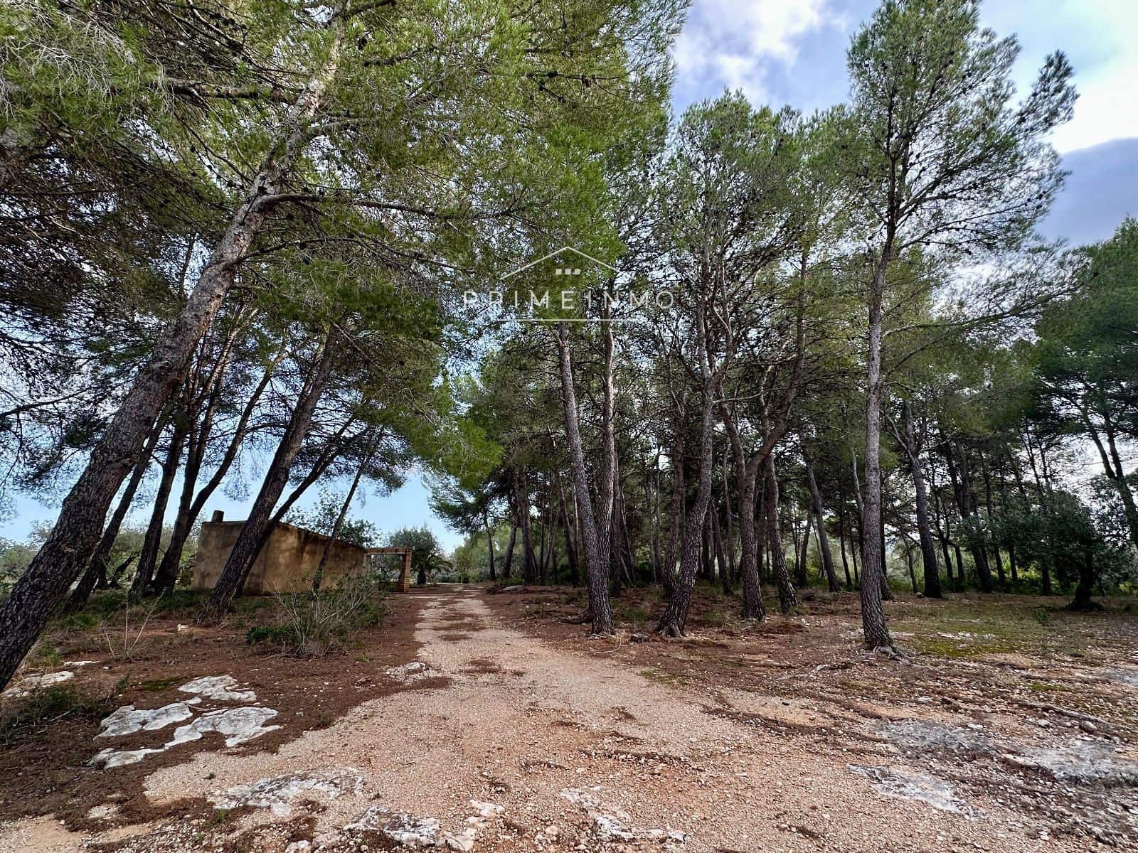 Ubebygd land til salgs i El Perello - € 118 000 (Ref: 10165465)