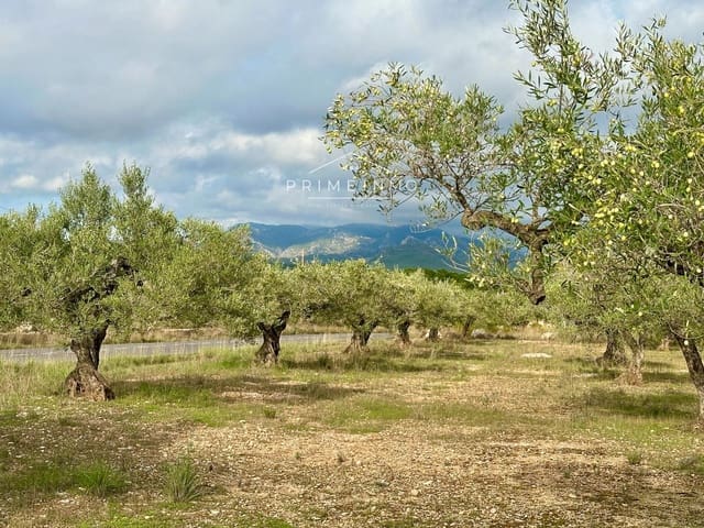 Ubebygd land til salgs i El Perelló - € 118 000 (Ref: 10165465)