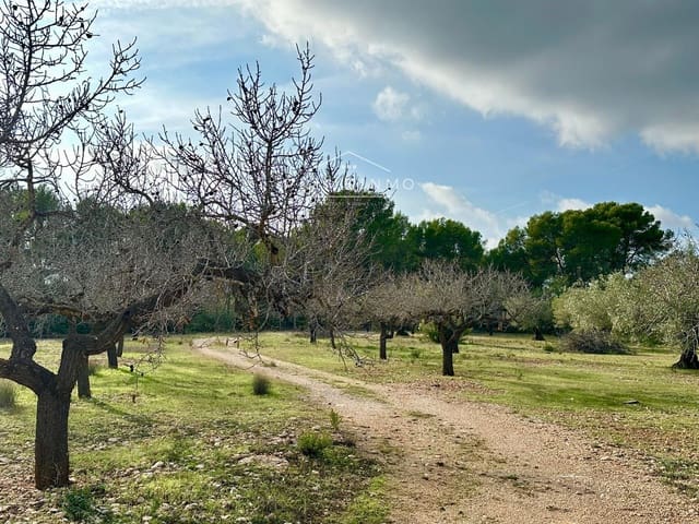 Ubebygd land til salgs i El Perelló - € 118 000 (Ref: 10165465)