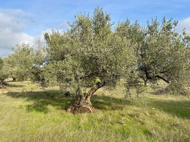Ubebygd land til salgs i El Perelló - € 118 000 (Ref: 10165465)