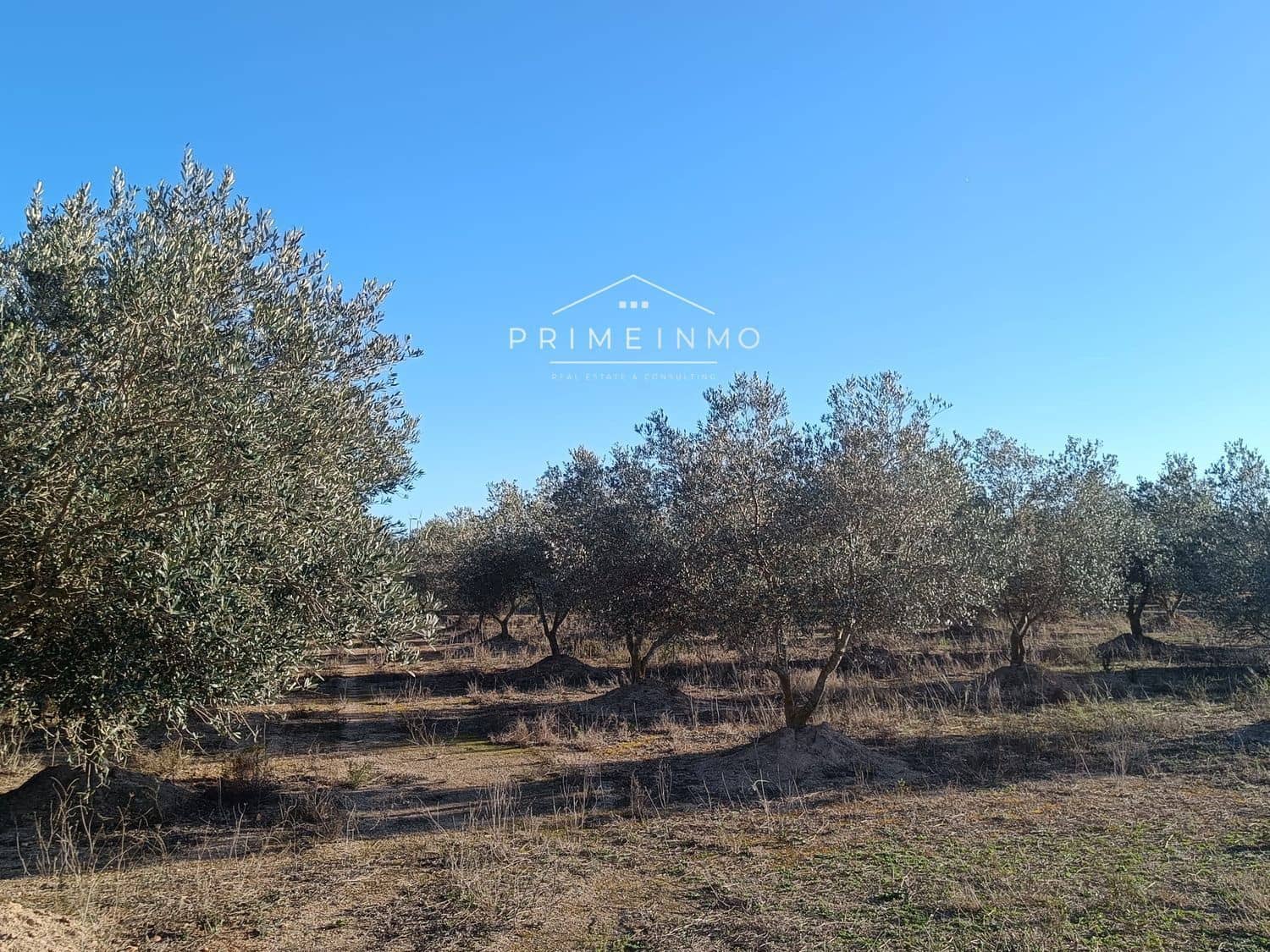 Teren niezagospodarowany na sprzedaż w El Perello - 39 000 € (Ref: 7464538)