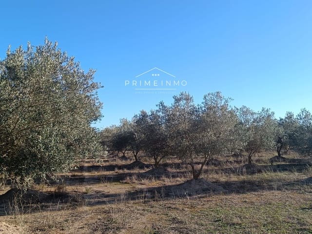 Terre non Aménagée à vendre à El Perelló - 39 000 € (Ref: 7464538)