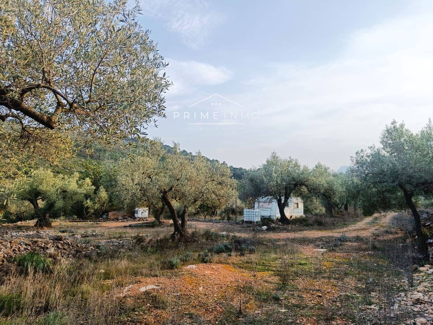 Grunde uden byggetilladelser til salg i Rasquera - € 33.000 (Ref: 7464543)