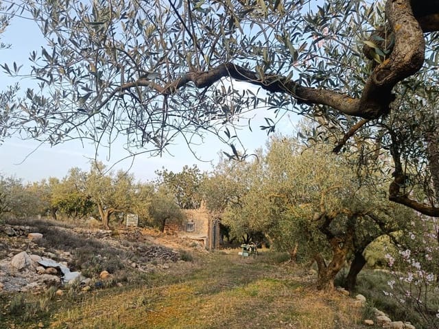 Undeveloped Land for sale in Rasquera - € 33,000 (Ref: 7464543)