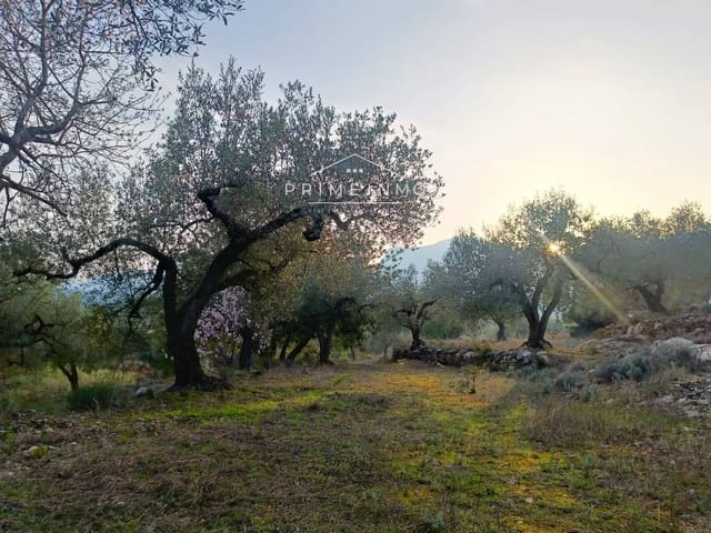 Undeveloped Land for sale in Rasquera - € 33,000 (Ref: 7464543)