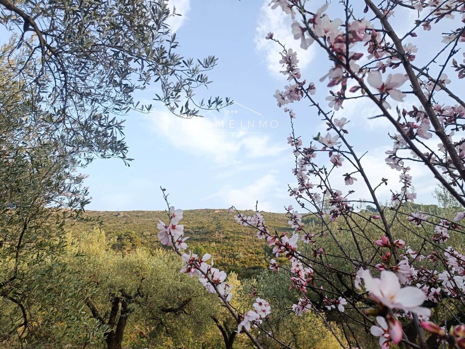 Grunde uden byggetilladelser til salg i Rasquera - € 33.000 (Ref: 7464543)