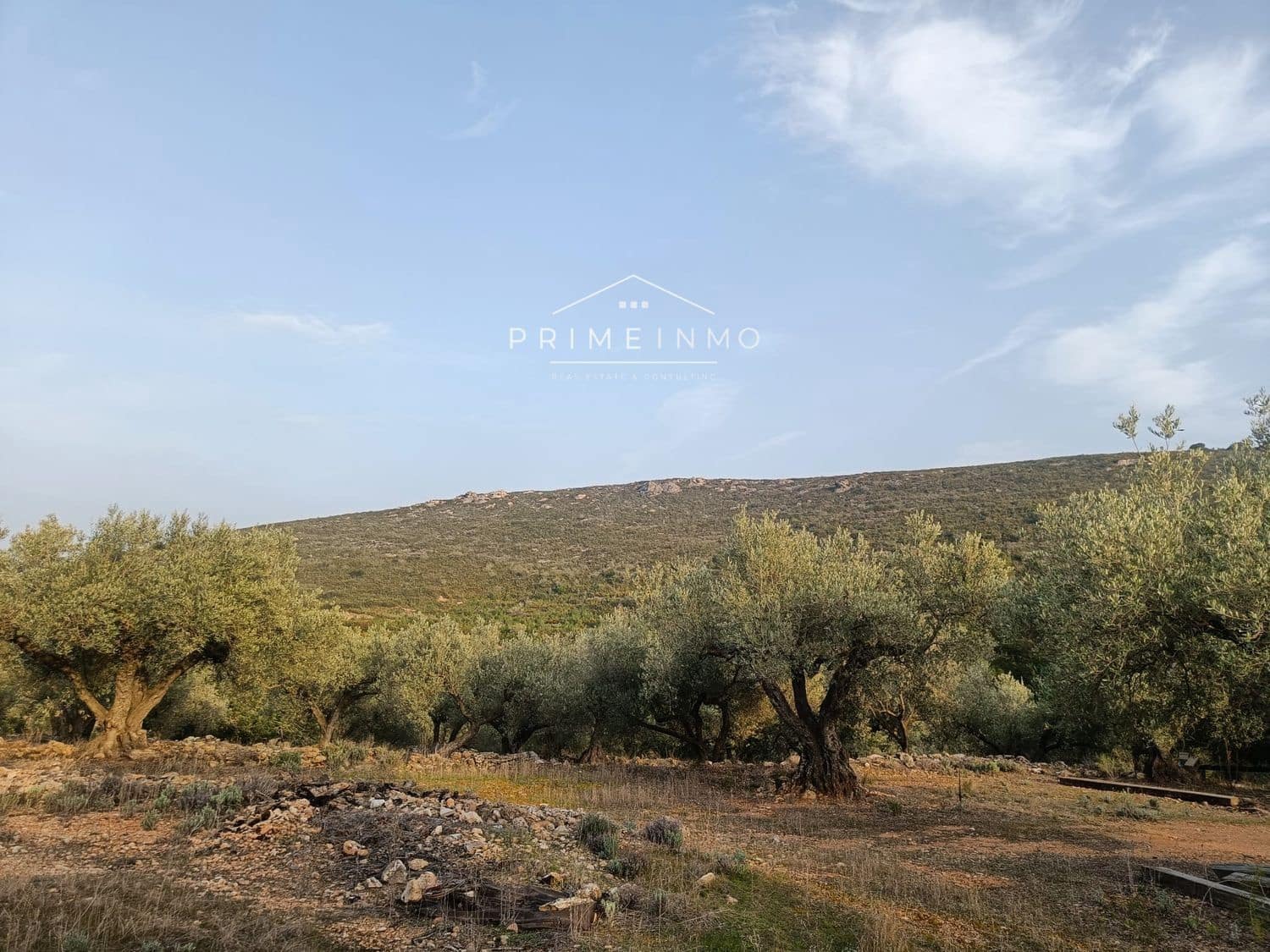 Grunde uden byggetilladelser til salg i Rasquera - € 33.000 (Ref: 7464543)