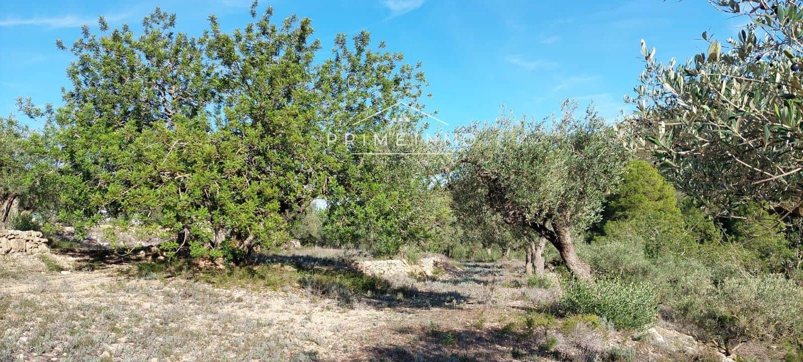 Grunde uden byggetilladelser til salg i Rasquera - € 33.000 (Ref: 7464543)