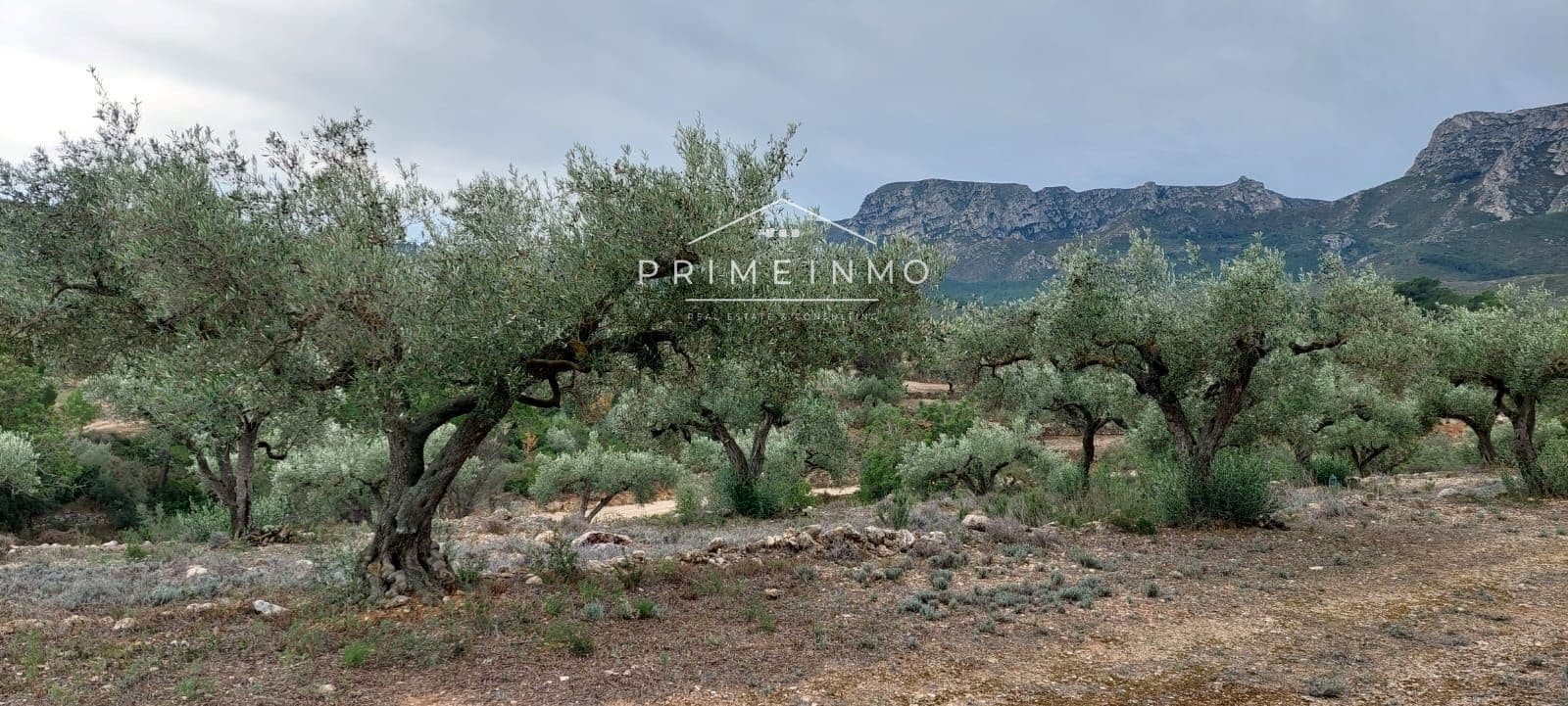 Grunde uden byggetilladelser til salg i Rasquera - € 33.000 (Ref: 7464543)