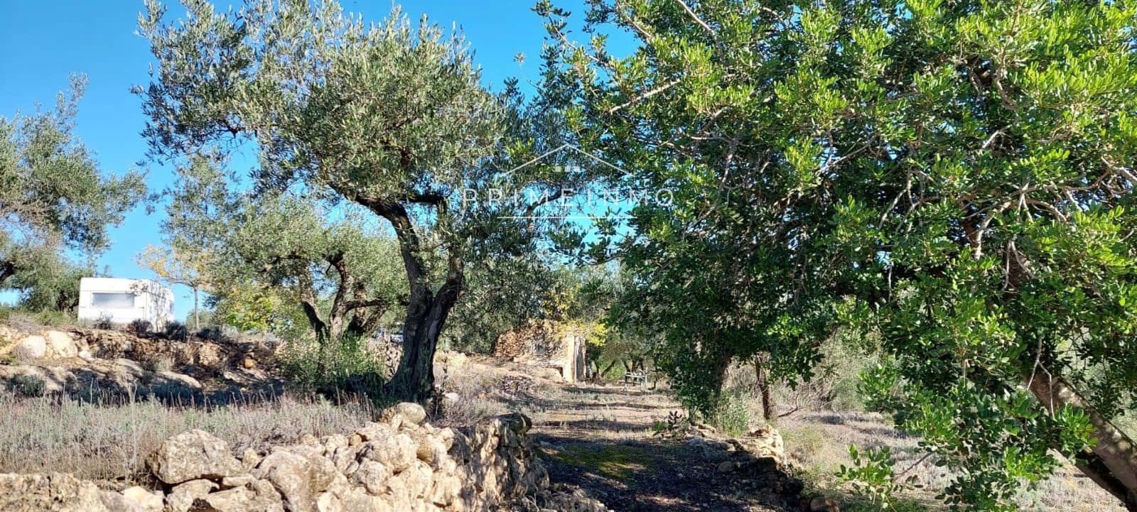 Grunde uden byggetilladelser til salg i Rasquera - € 33.000 (Ref: 7464543)