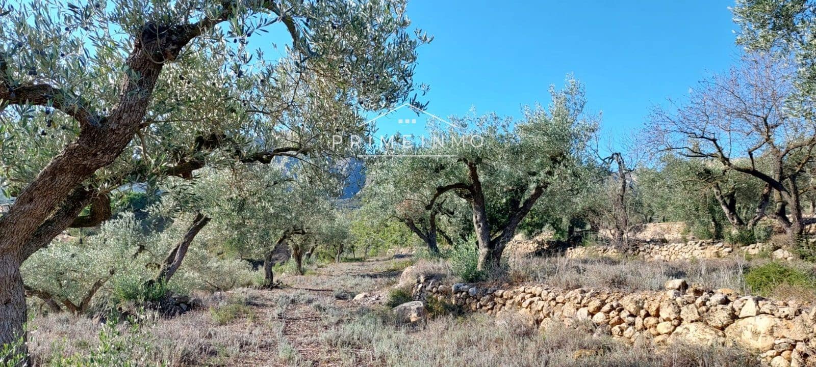 Grunde uden byggetilladelser til salg i Rasquera - € 33.000 (Ref: 7464543)