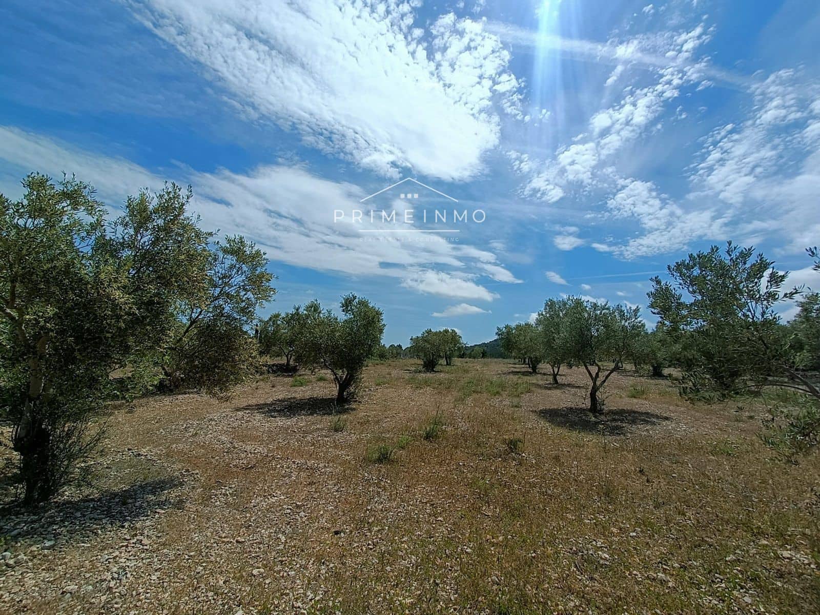 Ubebygd land til salgs i El Perello - € 50 000 (Ref: 7551033)