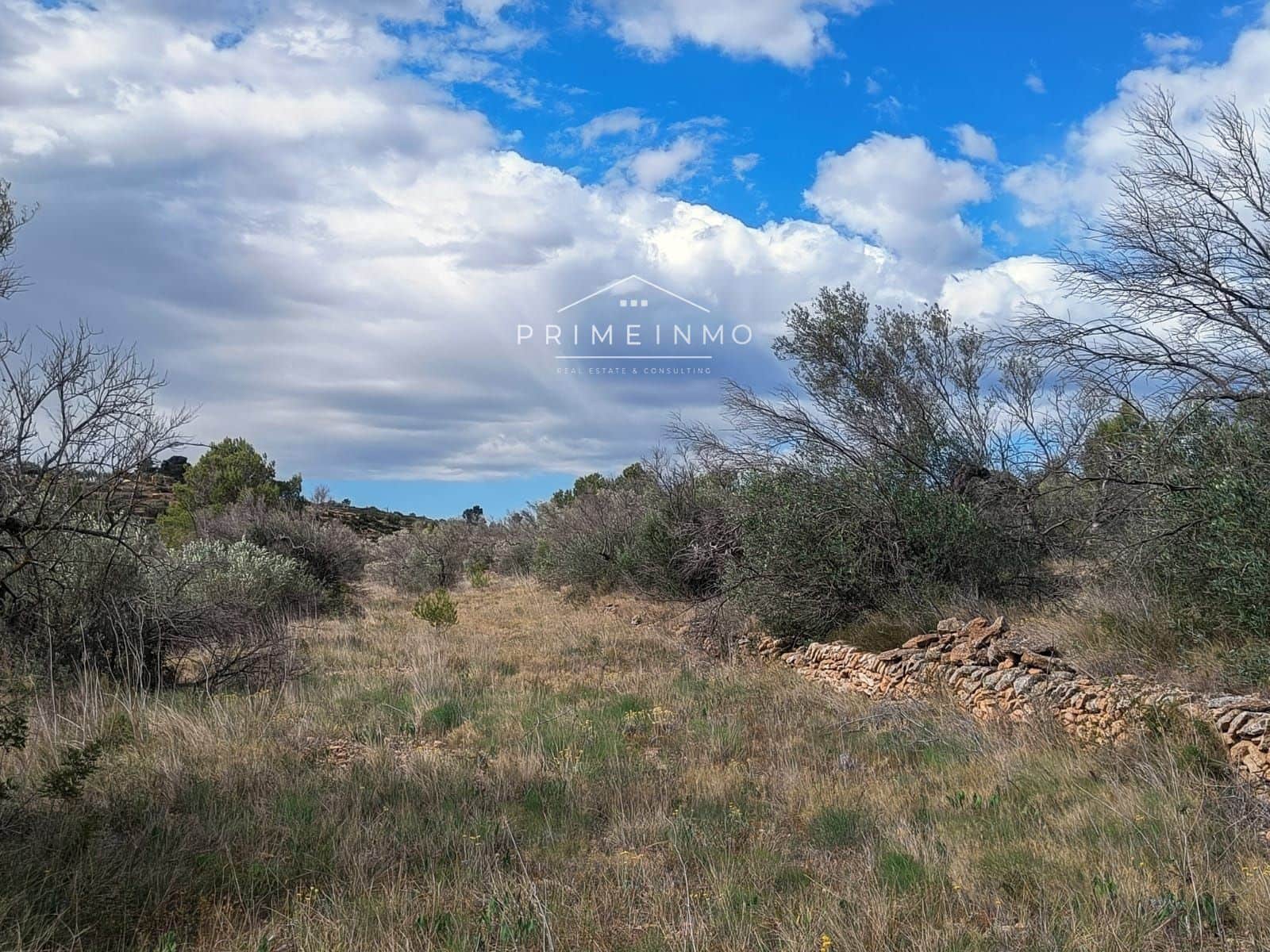 Grunde uden byggetilladelser til salg i El Perello - € 49.000 (Ref: 7567877)