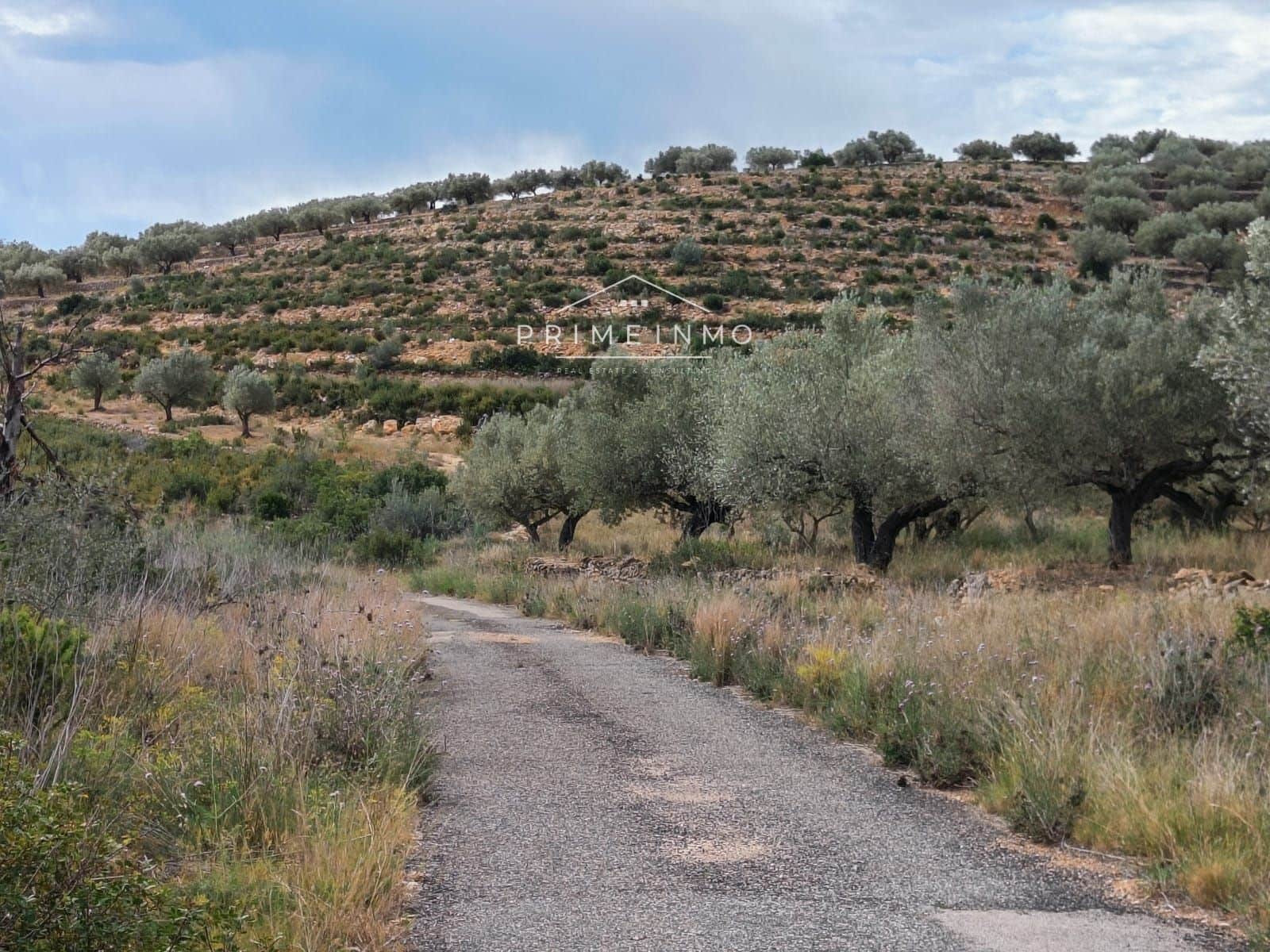 Grunde uden byggetilladelser til salg i El Perello - € 49.000 (Ref: 7567877)