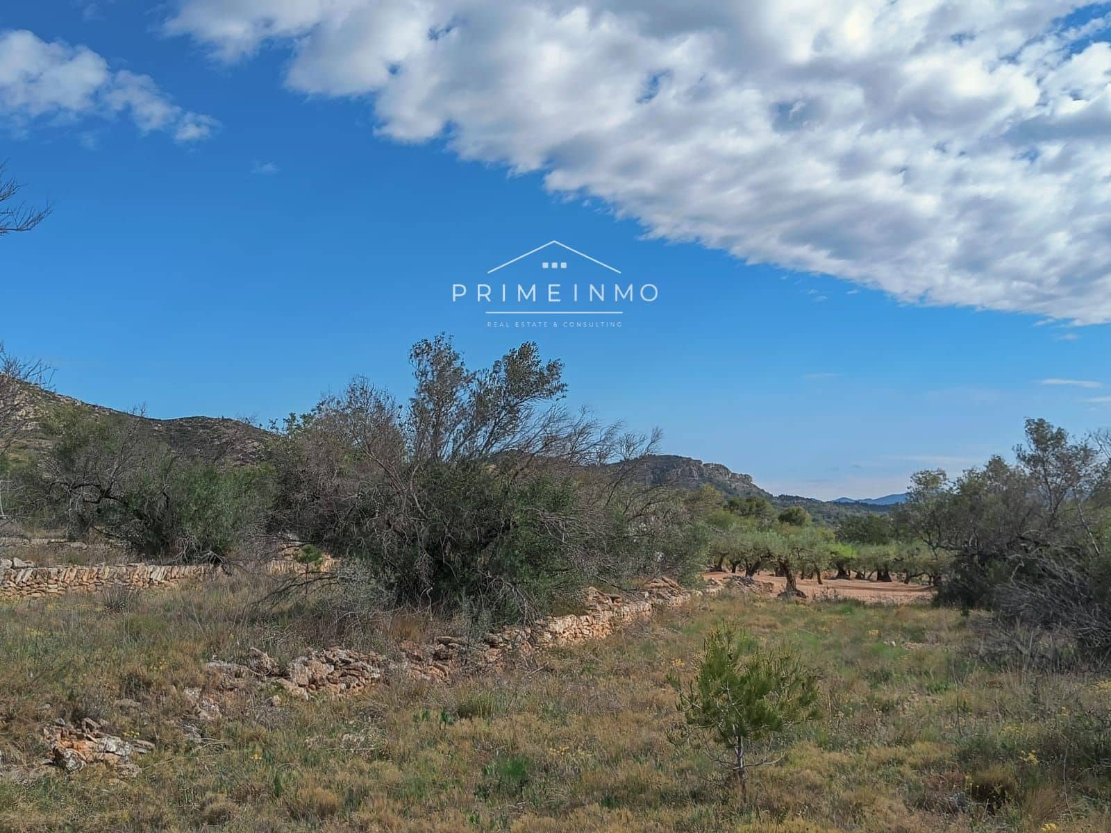 Grunde uden byggetilladelser til salg i El Perello - € 49.000 (Ref: 7567877)