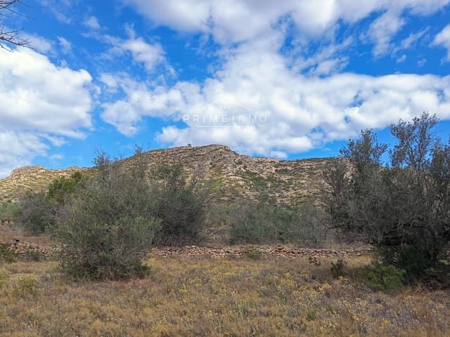 Undeveloped Land for sale in El Perelló - € 49,000 (Ref: 7567877)