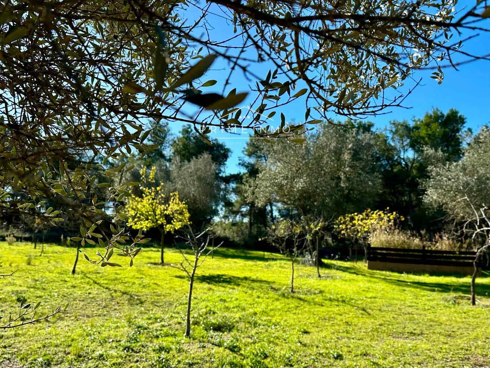 2 bedroom Villa for sale in El Perello - € 135,000 (Ref: 7586640)