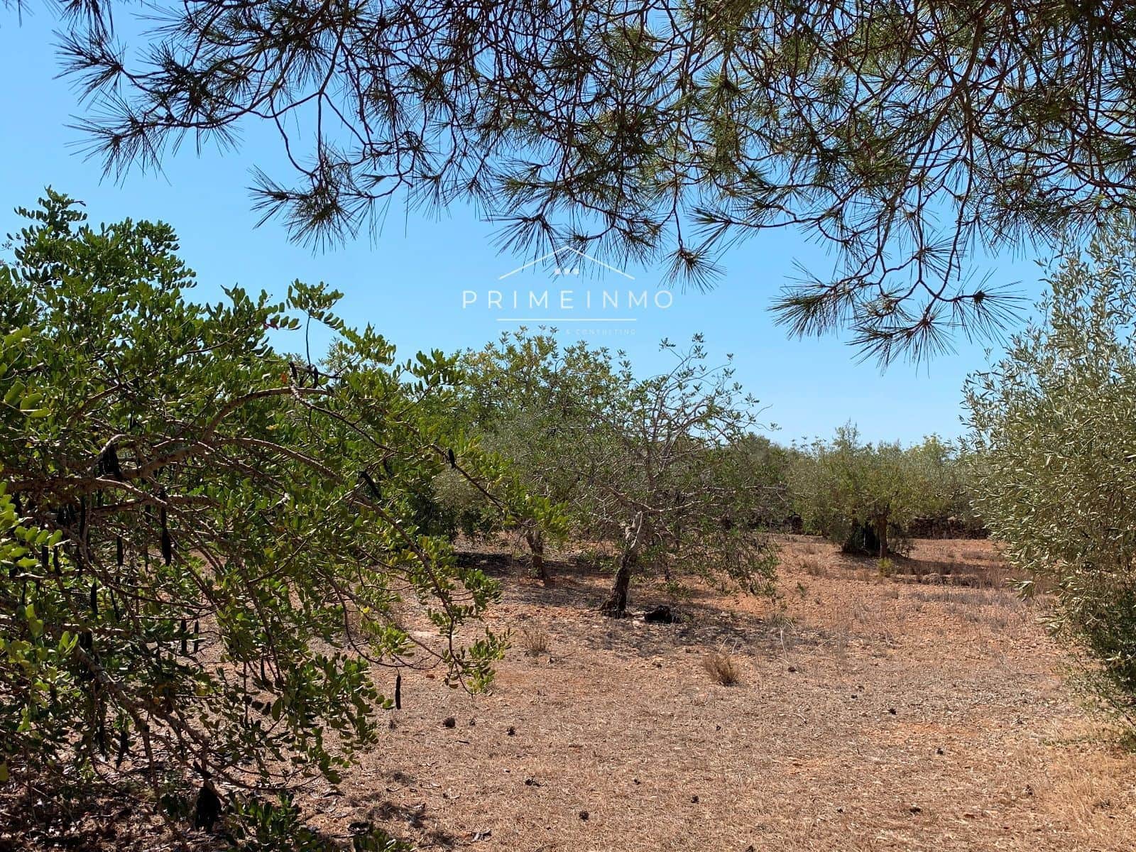 Villa till salu i L'Ametlla de Mar - 103 000 € (Ref: 7748064)