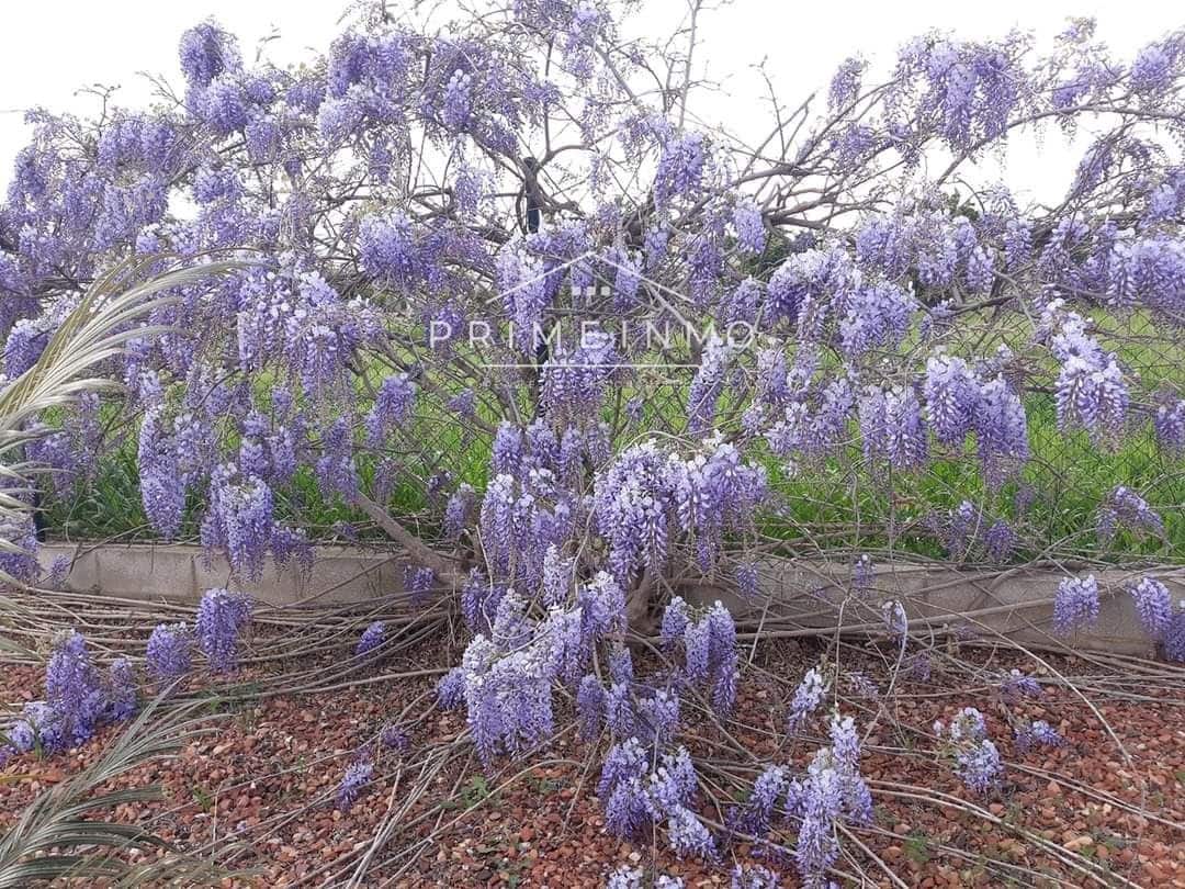 5 slaapkamer Villa te koop in Deltebre met zwembad garage - € 415.000 (Ref: 8048317)