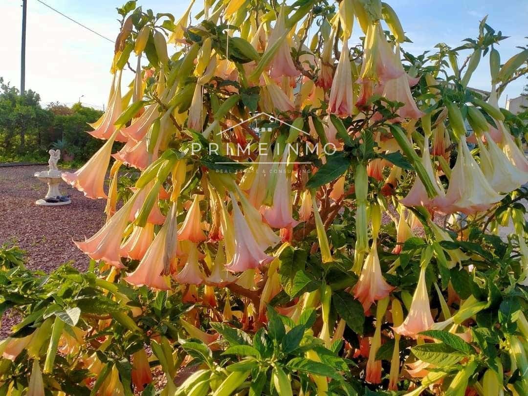 5 slaapkamer Villa te koop in Deltebre met zwembad garage - € 415.000 (Ref: 8048317)