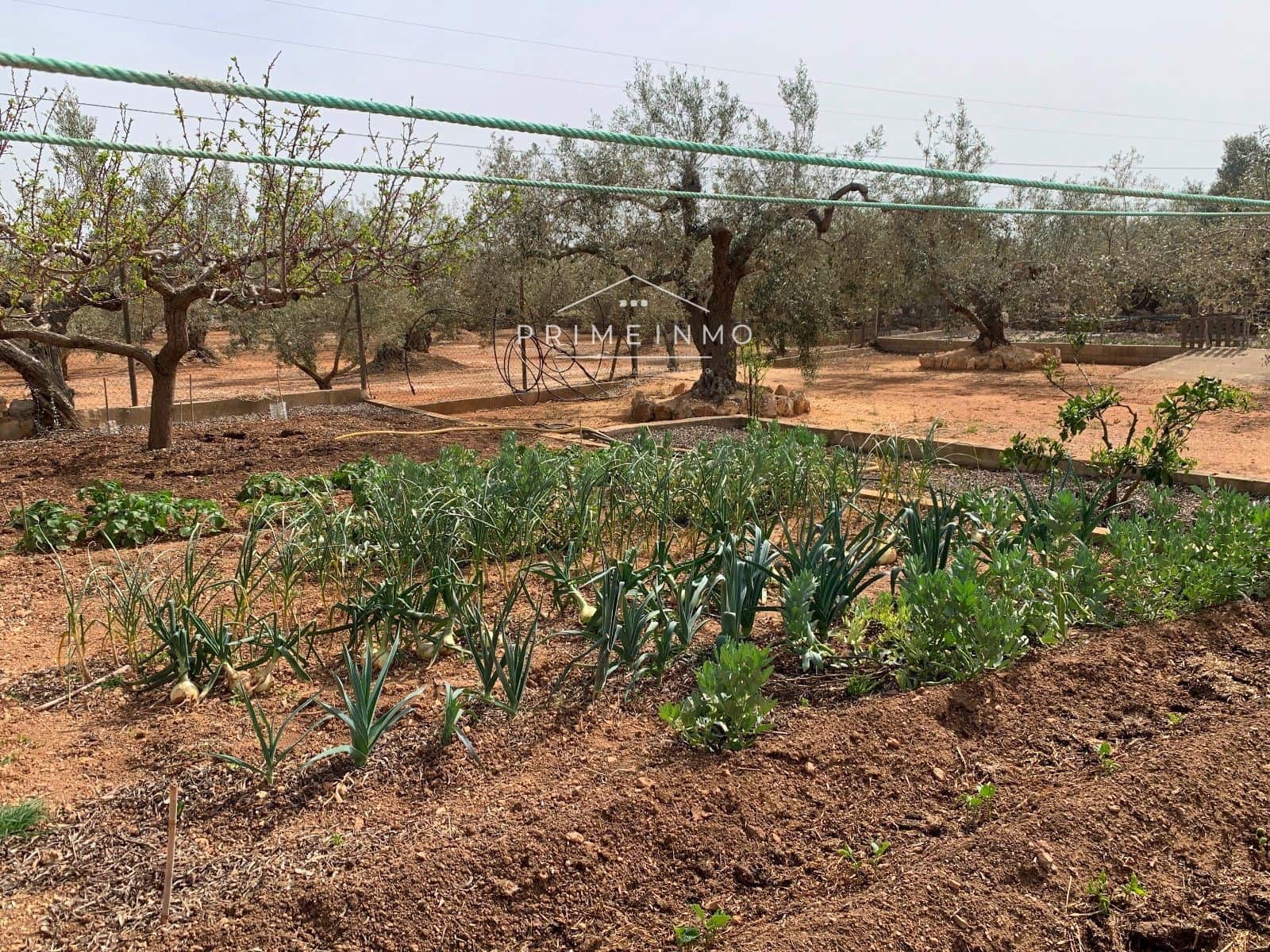 10 soverom Villa til salgs i Camarles med svømmebasseng garasje - € 621 000 (Ref: 8182351)