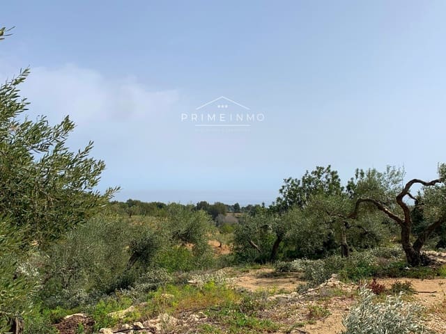 Terre non Aménagée à vendre à El Perelló - 79 000 € (Ref: 8206431)