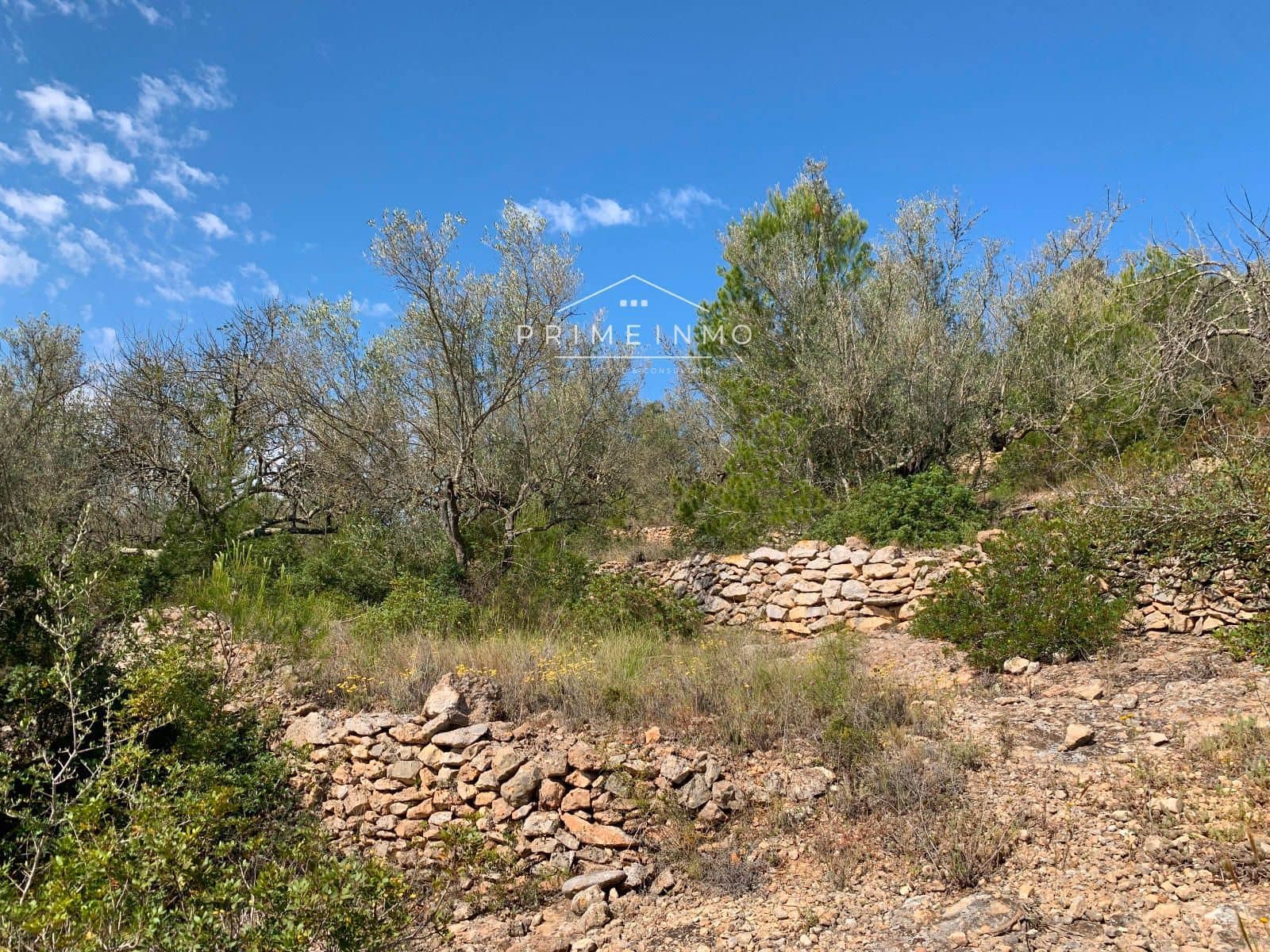 Ubebygd land til salgs i El Perello - € 35 000 (Ref: 8315826)