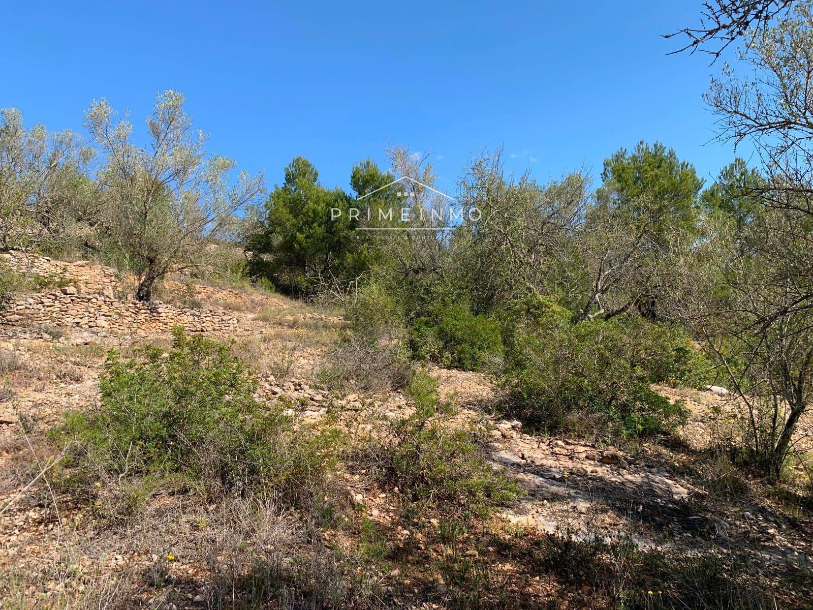 Ubebygd land til salgs i El Perello - € 35 000 (Ref: 8315826)