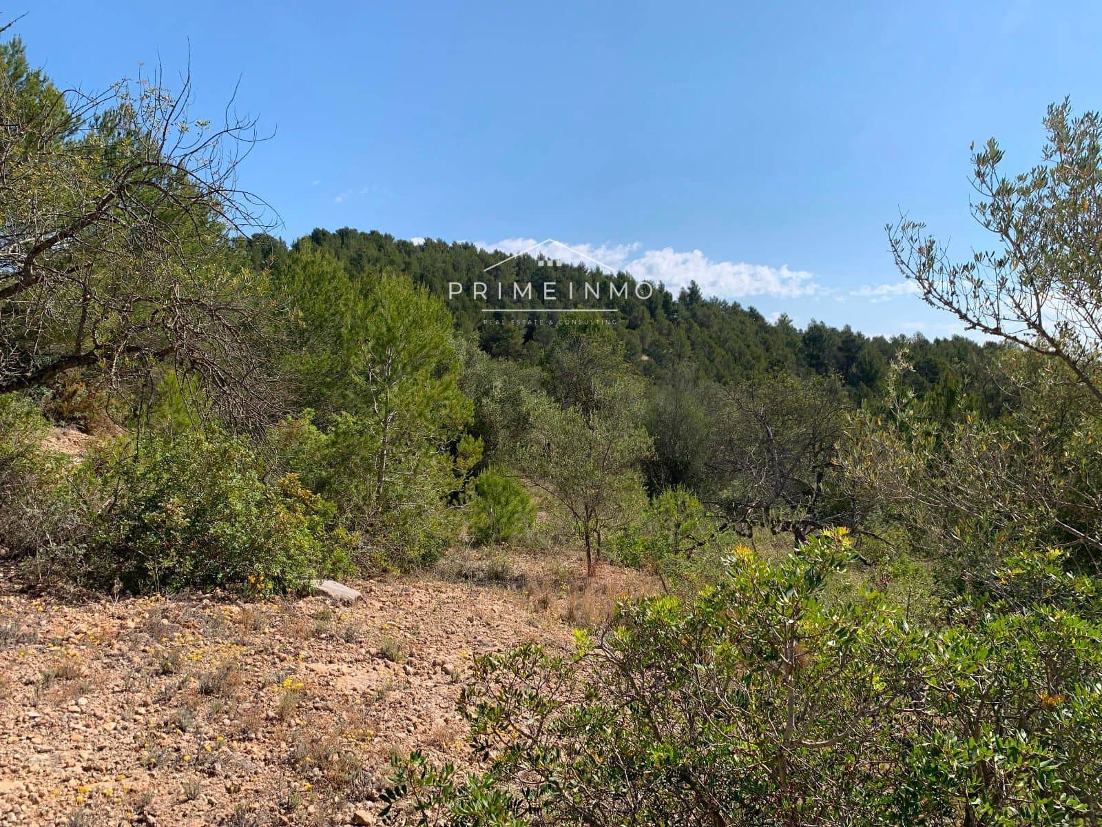 Ubebygd land til salgs i El Perello - € 35 000 (Ref: 8315826)