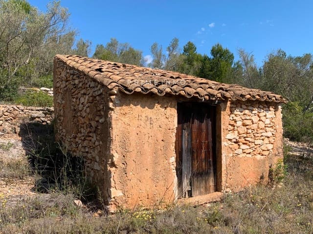Terre non Aménagée à vendre à El Perelló - 35 000 € (Ref: 8315826)