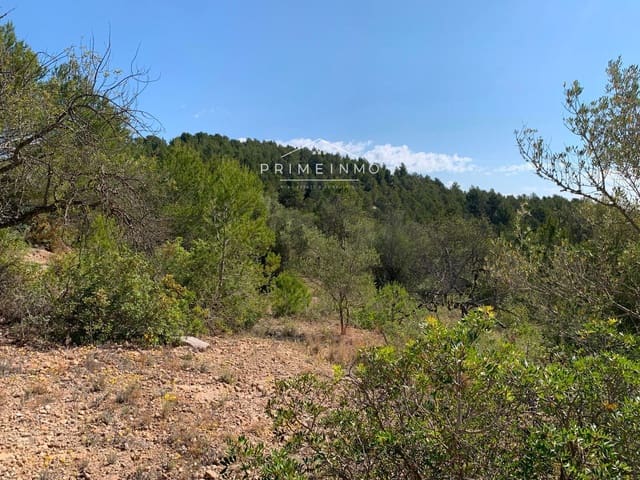 Terre non Aménagée à vendre à El Perelló - 35 000 € (Ref: 8315826)