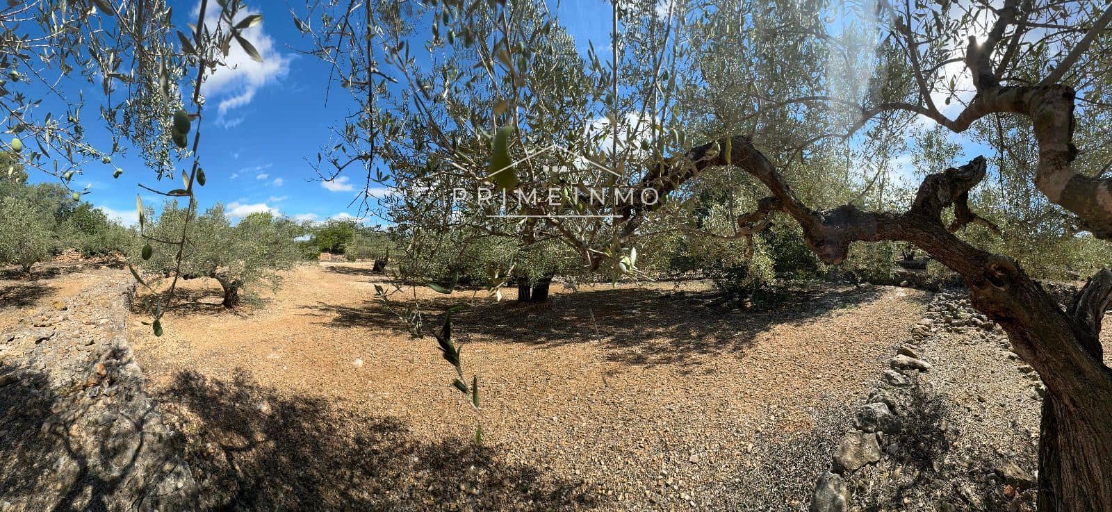 Grunde uden byggetilladelser til salg i El Perello - € 28.000 (Ref: 8558155)