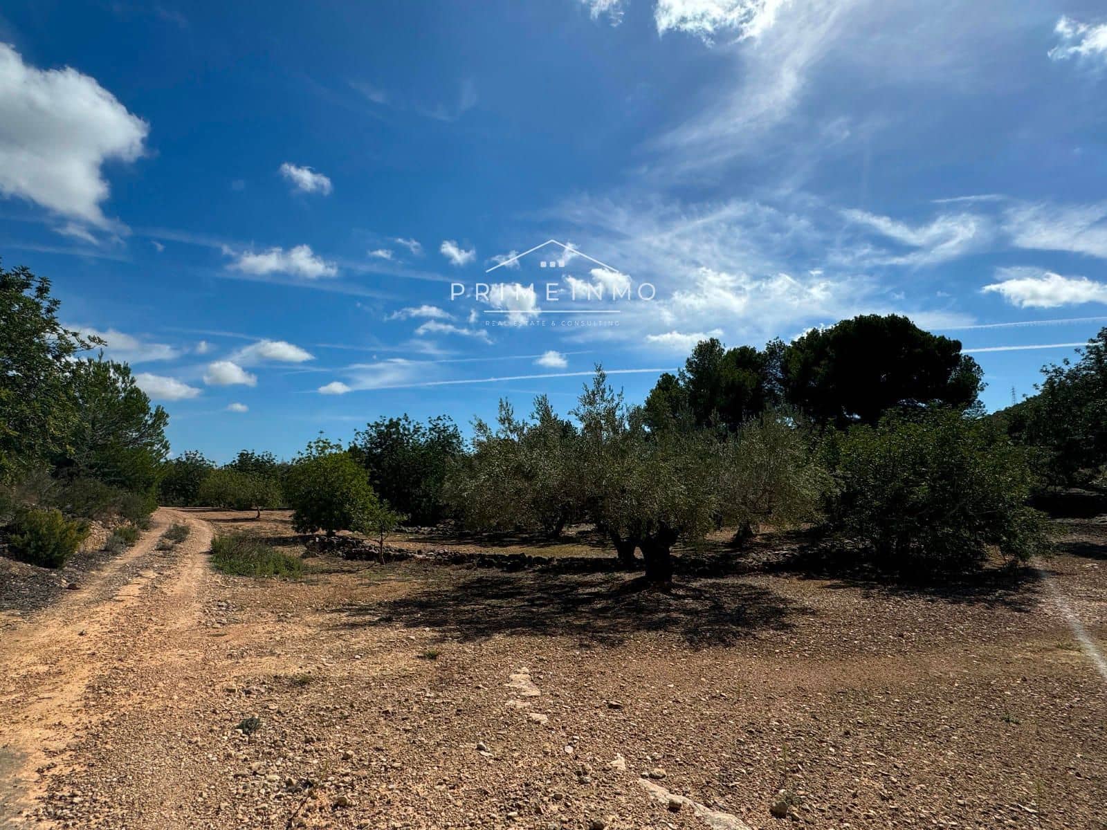 Grunde uden byggetilladelser til salg i El Perello - € 28.000 (Ref: 8558155)