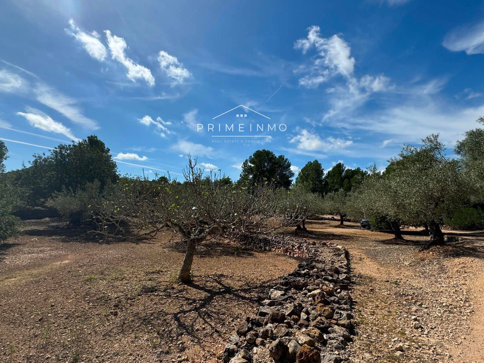 Grunde uden byggetilladelser til salg i El Perello - € 28.000 (Ref: 8558155)