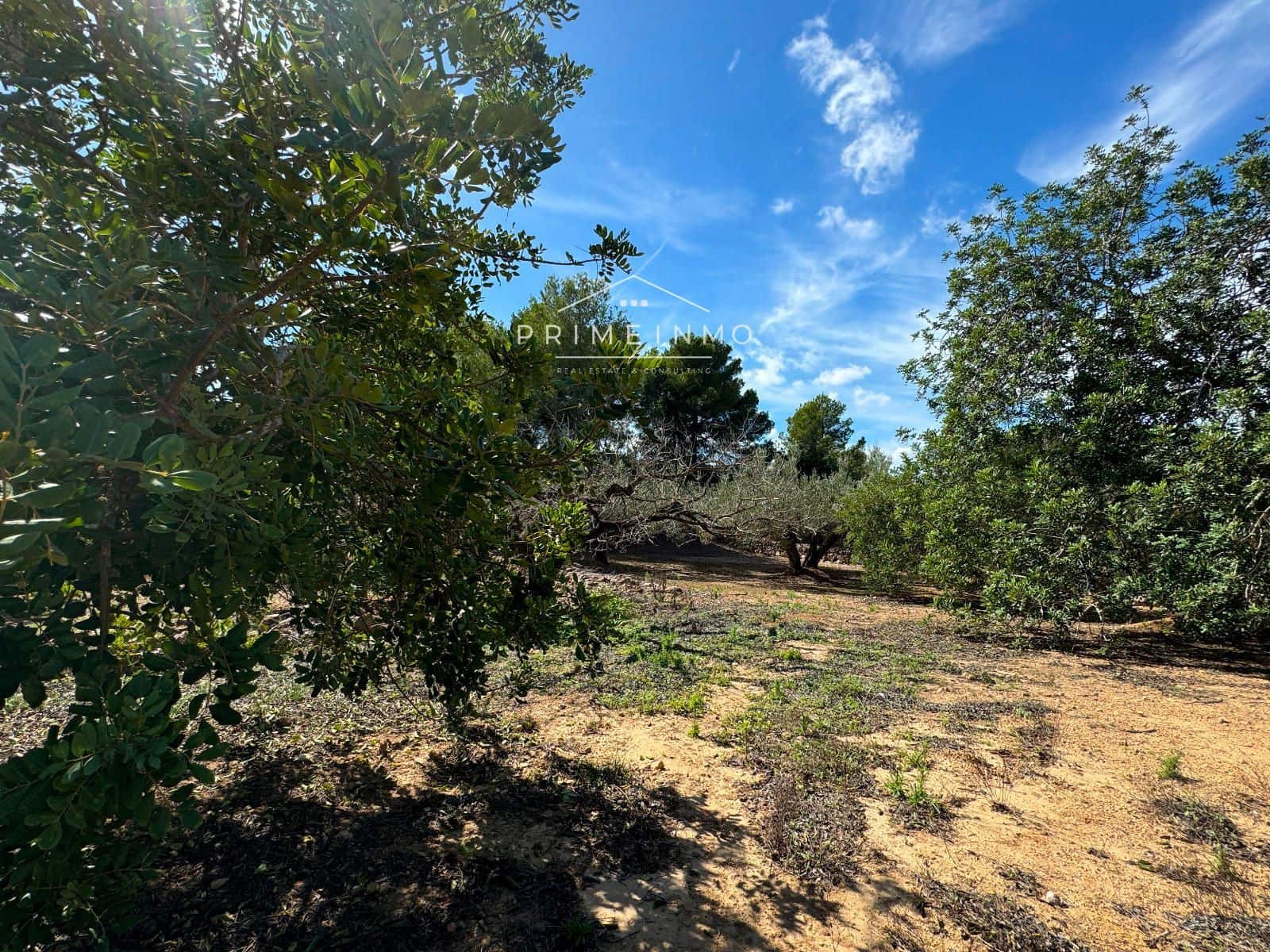 Grunde uden byggetilladelser til salg i El Perello - € 28.000 (Ref: 8558155)